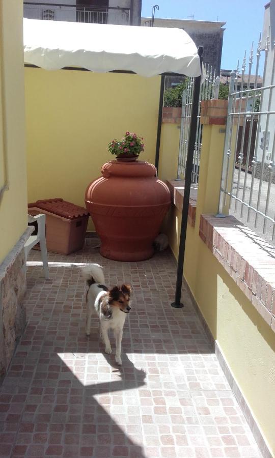 B&B A Casa Di Antonella Скаури Екстериор снимка